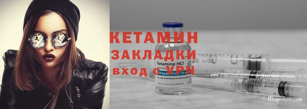 сатива Беломорск