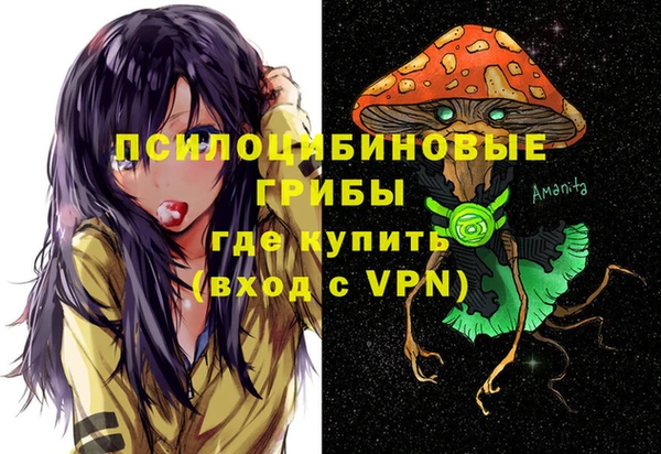 сатива Беломорск