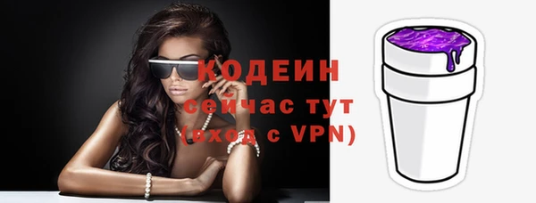 сатива Беломорск