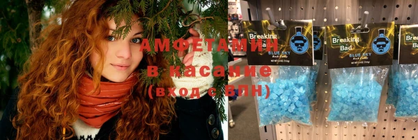 сатива Беломорск