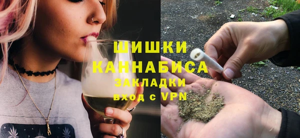 сатива Беломорск