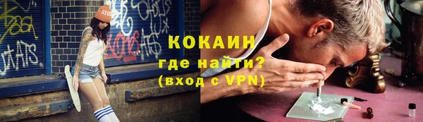сатива Беломорск