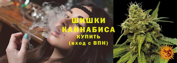 сатива Беломорск